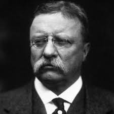 Image result for teddy roosevelt